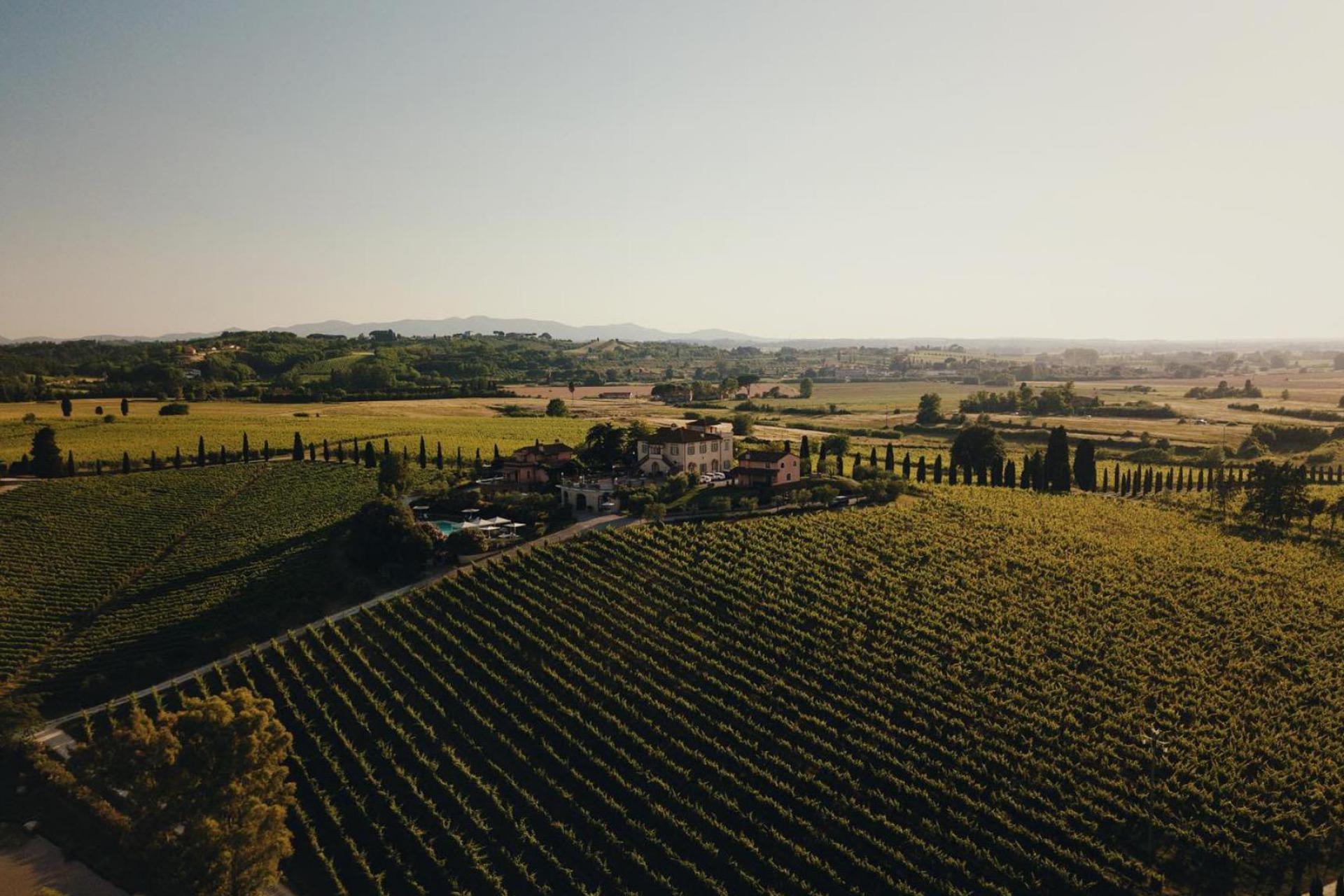 Agriturismo Toscane Luxe agiturismo en wijnboerderij bij Pisa