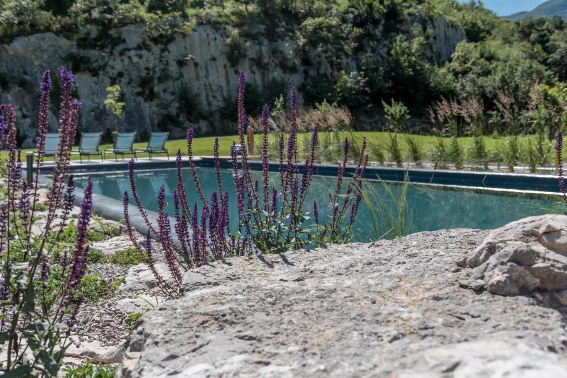 Organische appelboerderij in Trentino's merenvallei