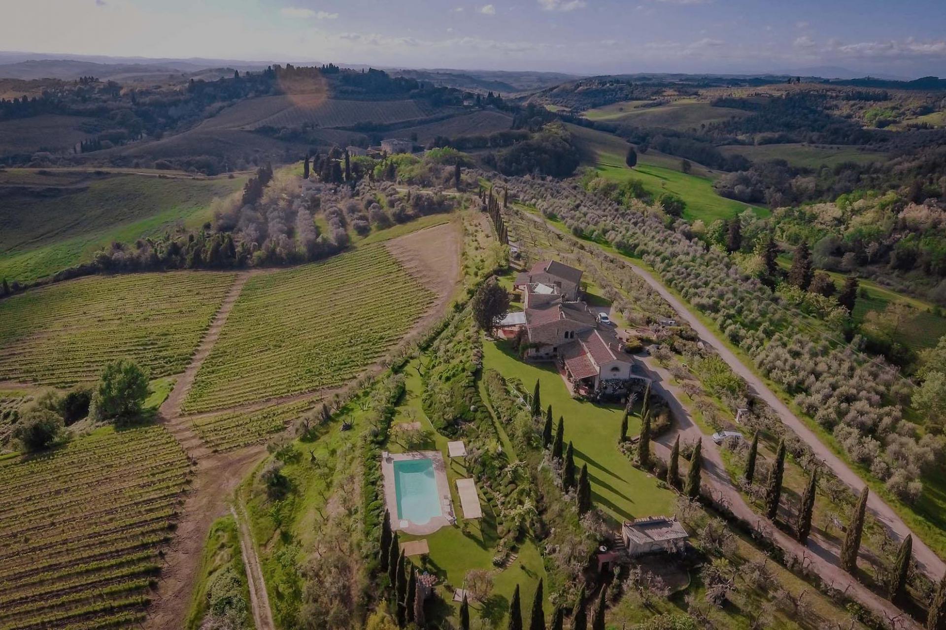 Agriturismo Toscane in olijfgaard met prachtig uitzicht