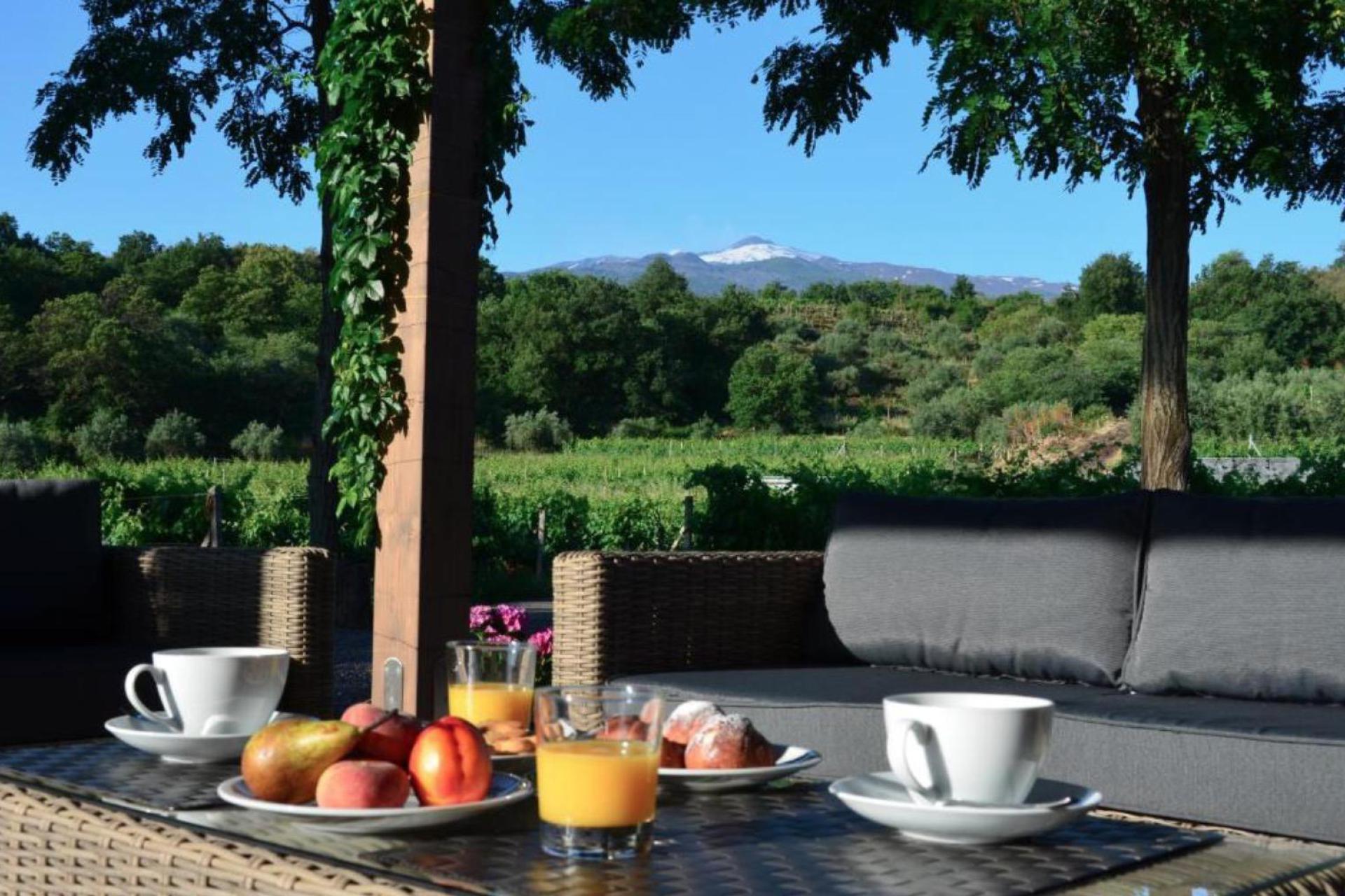 Agriturismo nabij de Etna voor liefhebbers van wijn