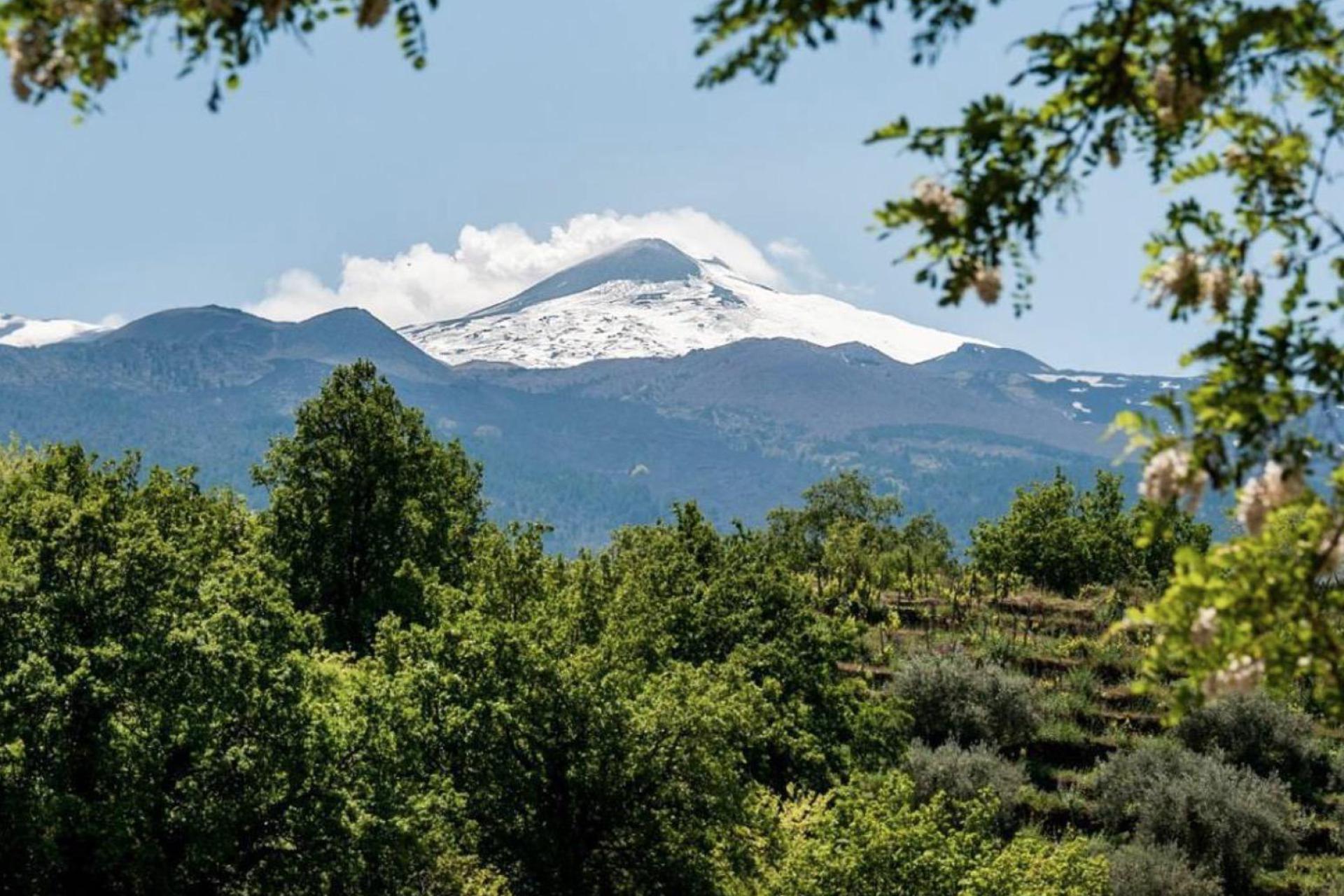 Agriturismo nabij de Etna voor liefhebbers van wijn
