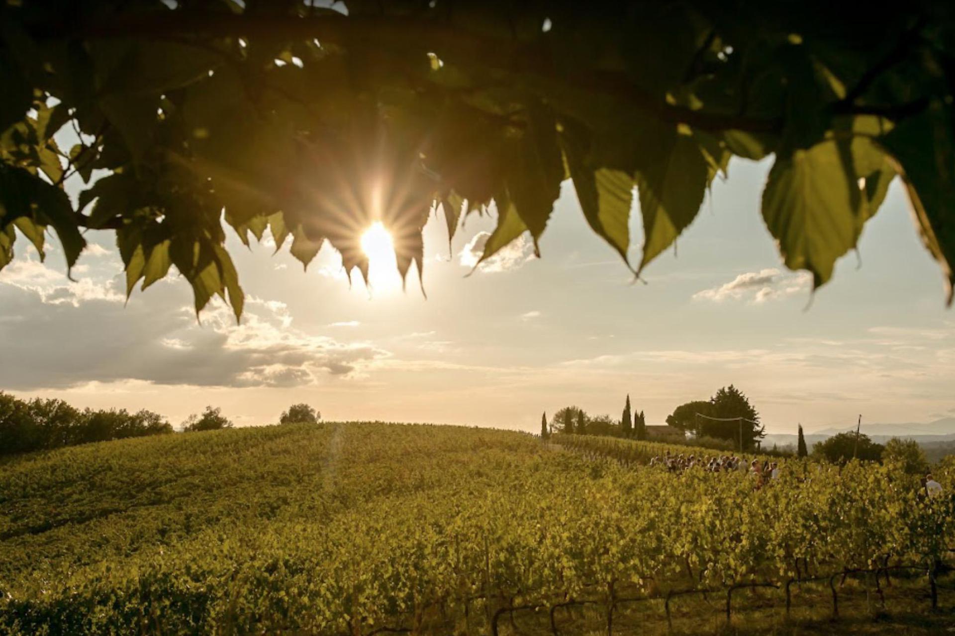 Agriturismo tussen de wijngaarden in het Chiantigebied