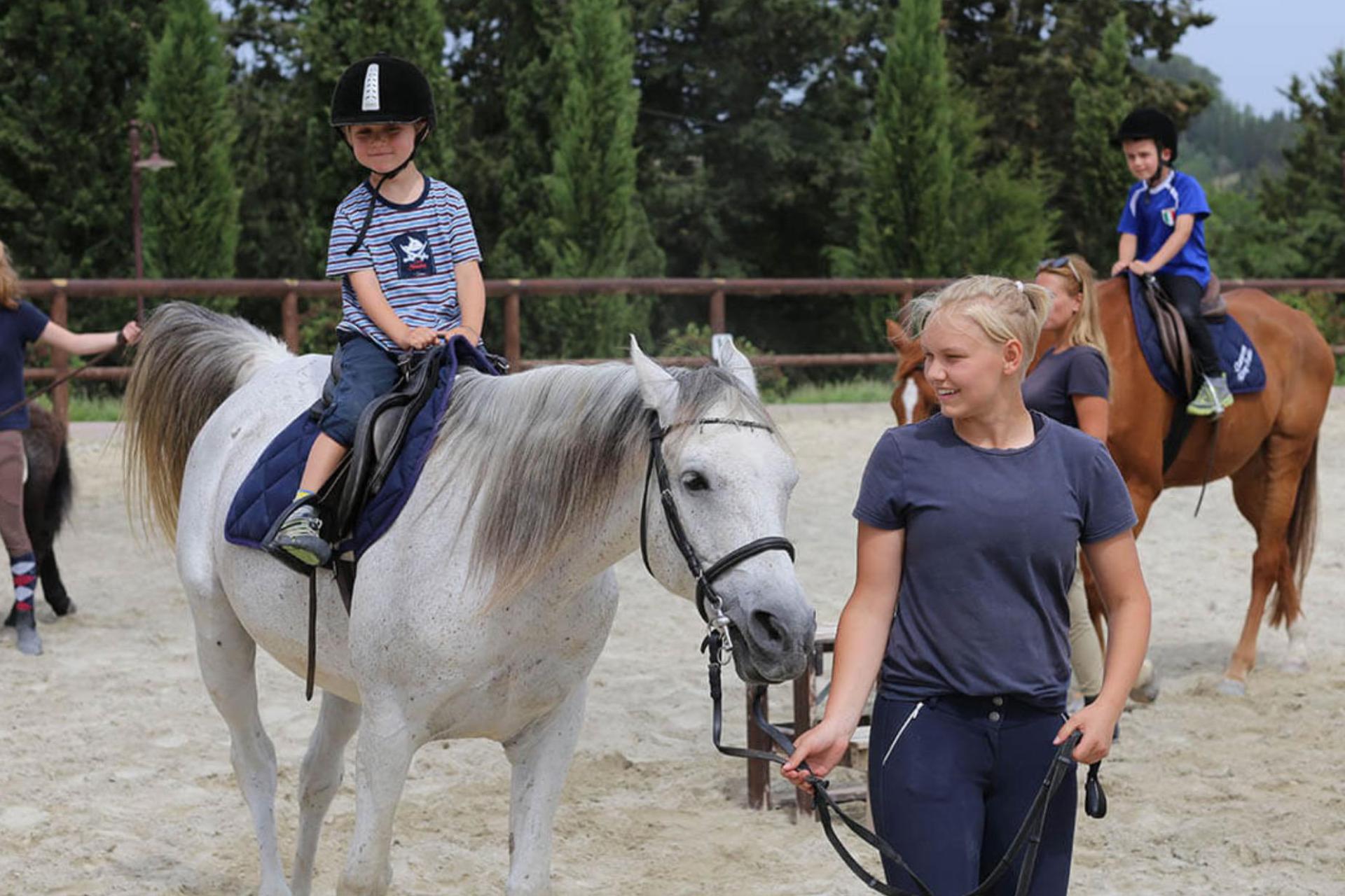 Familievriendelijke agriturismo met paarden