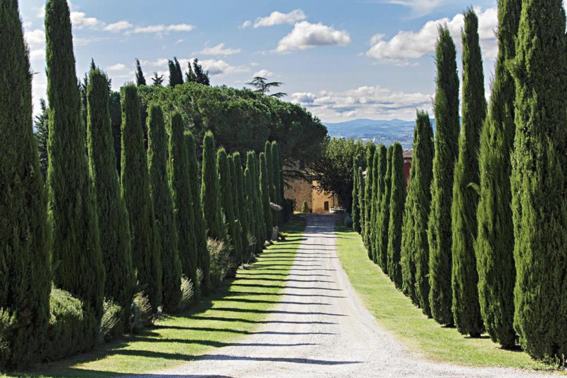 Luxe agriturismo bij San Gimignano in Toscane