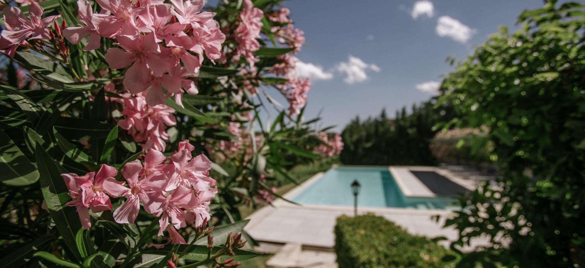 Agriturismo Piemonte Agriturismo en wijnboerderij in de heuvels van Piemonte