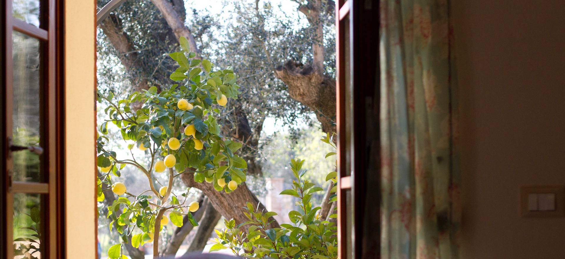 Agriturismo Toscane Agriturismo in olijfgaard nabij de Toscaanse kust