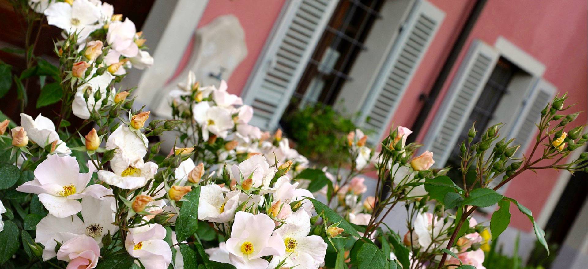 Agriturismo Piemonte Agriturismo in Piemonte, gastvrij en gezellig