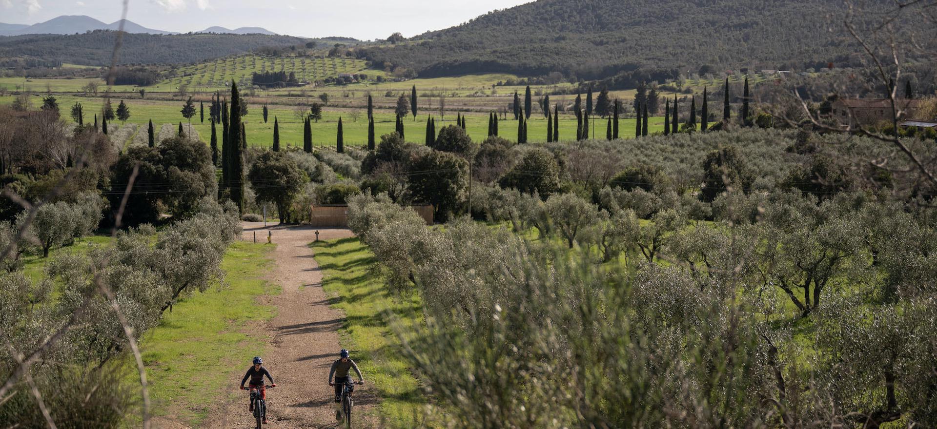 Agriturismo Toscane Agriturismo in Toscane met 5 zwembaden en 20 minuten van zee