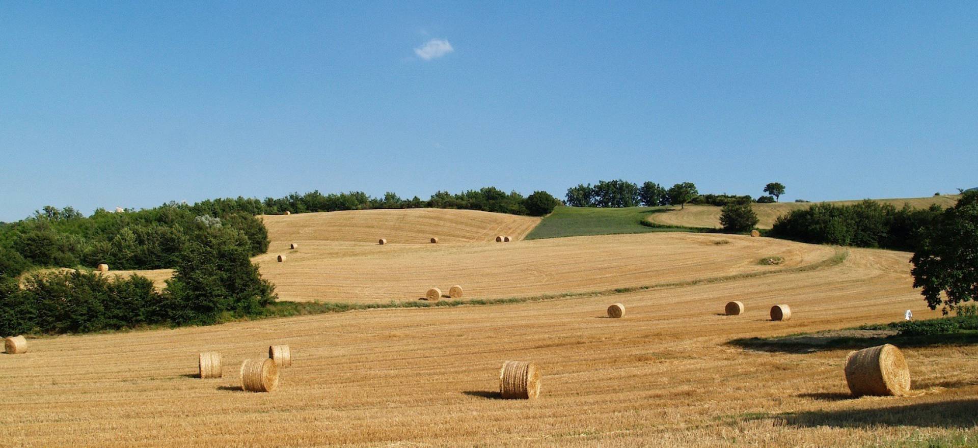 Agriturismo Le Marche Agriturismo le Marche, warme ontvangst en familievriendelijk