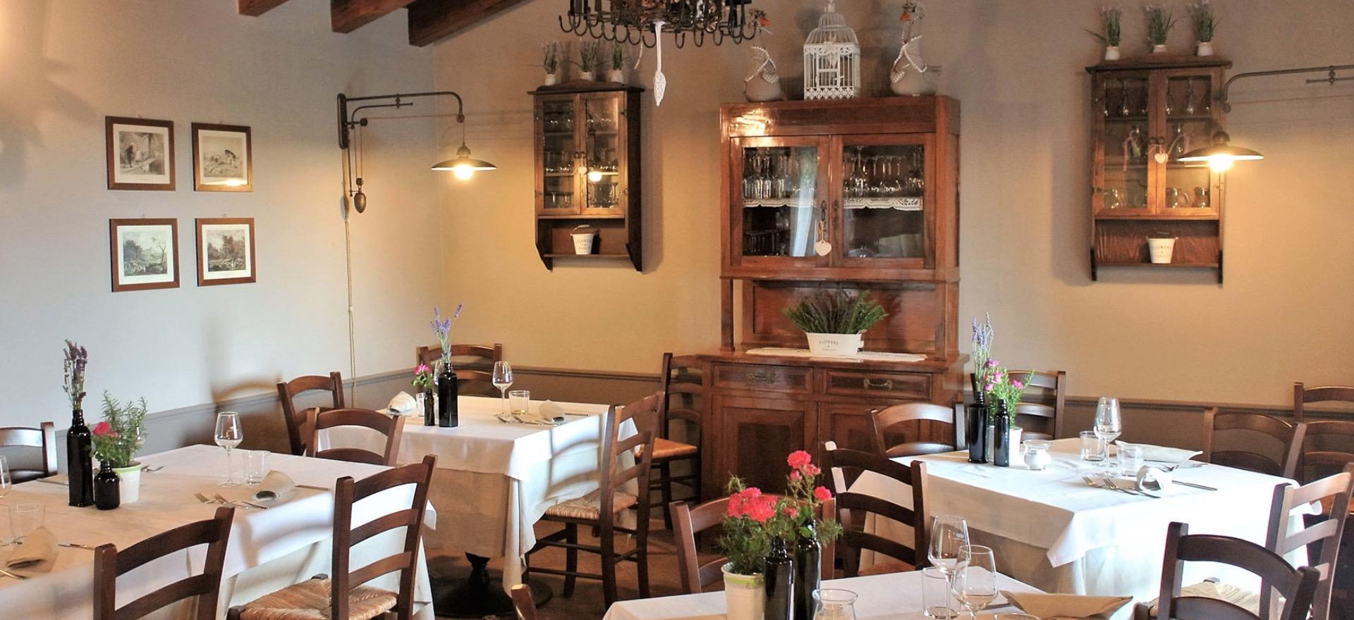 Agriturismo Toscane Agriturismo zuidelijk van Siena tussen de wijngaarden