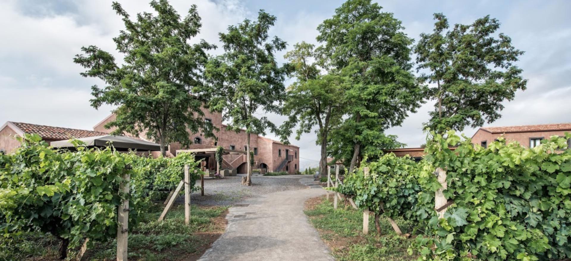 Agriturismo Sicilie Agriturismo nabij de Etna voor liefhebbers van wijn