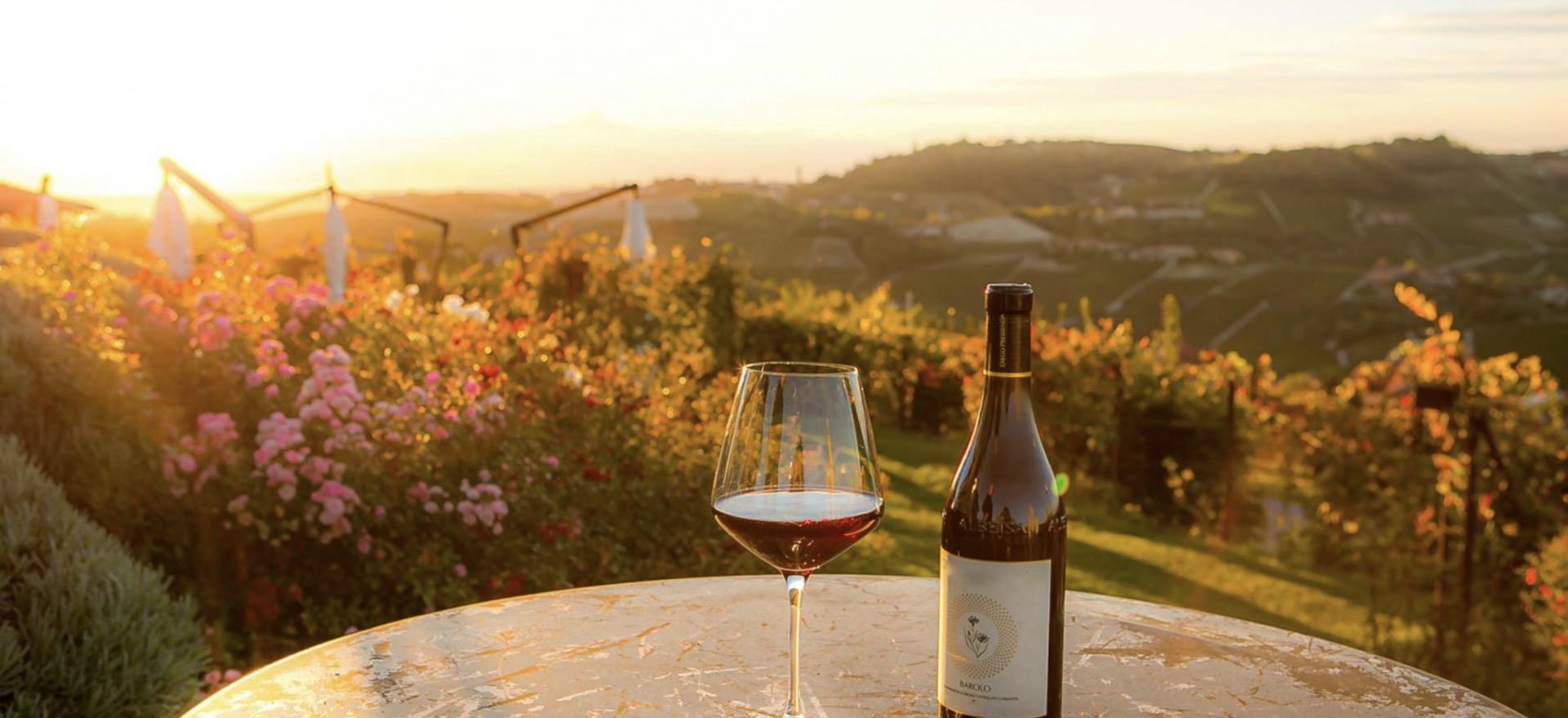 Agriturismo Piemonte Agriturismo Piemonte tussen wijgaarden met restaurant