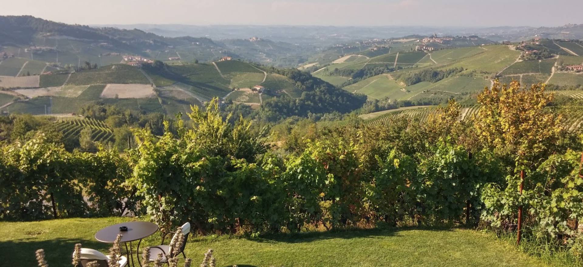 Agriturismo Piemonte Agriturismo Piemonte tussen wijgaarden met restaurant