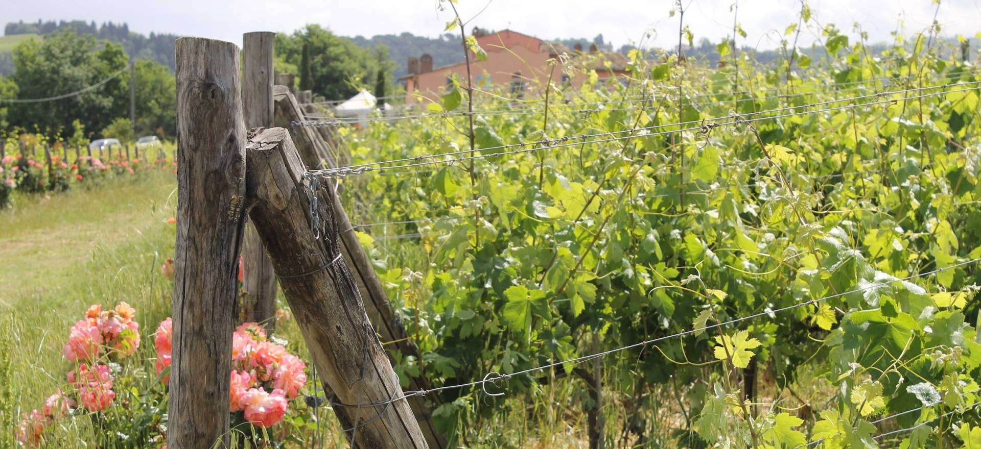Agriturismo Toscane Agriturismo tussen de wijngaarden in het Chiantigebied