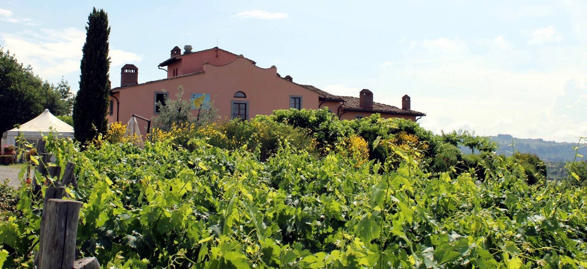 Agriturismo Toscane Agriturismo tussen de wijngaarden in het Chiantigebied