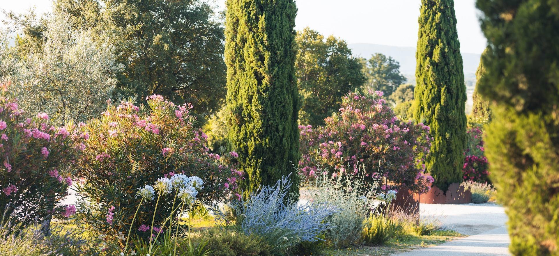 Agriturismo Toscane Agriturismo vlakbij zee in Toscane speciaal voor fietsfans