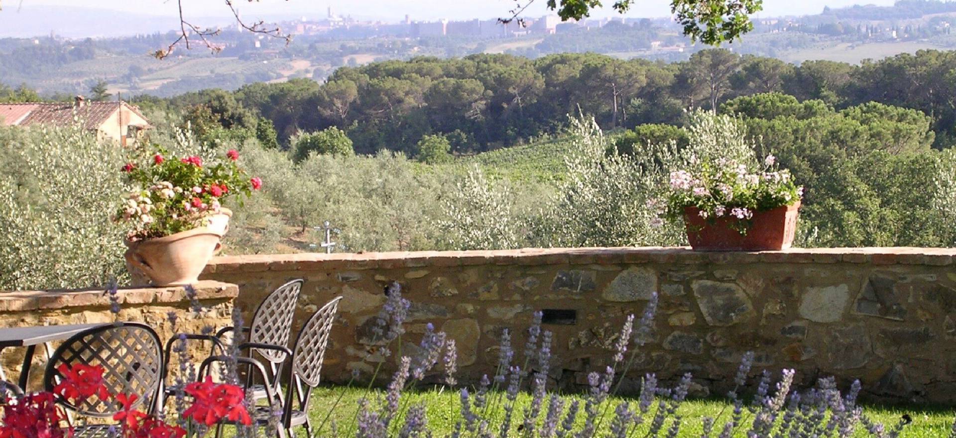 Agriturismo Toscane Authentieke agriturismo en wijnboerderij in Toscane