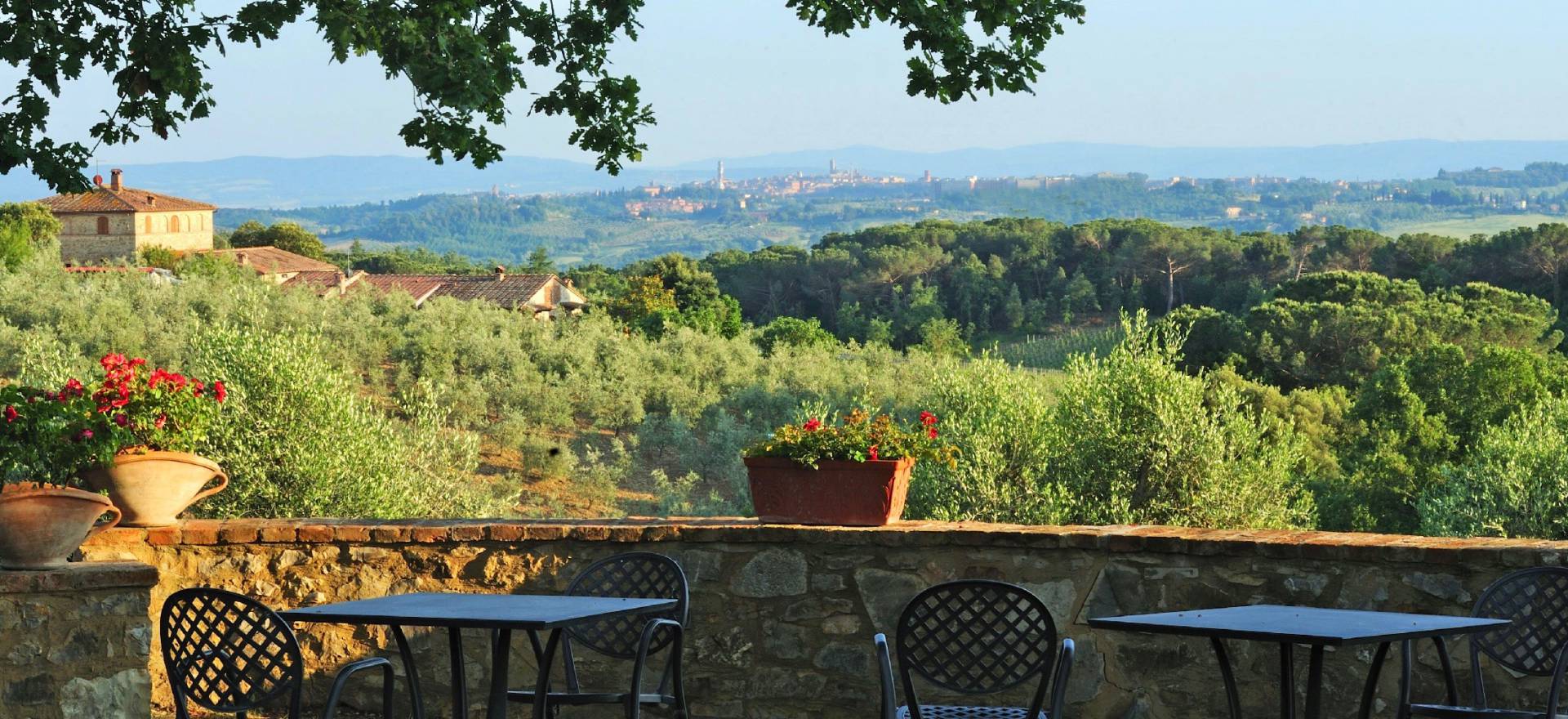 Agriturismo Toscane Authentieke agriturismo en wijnboerderij in Toscane