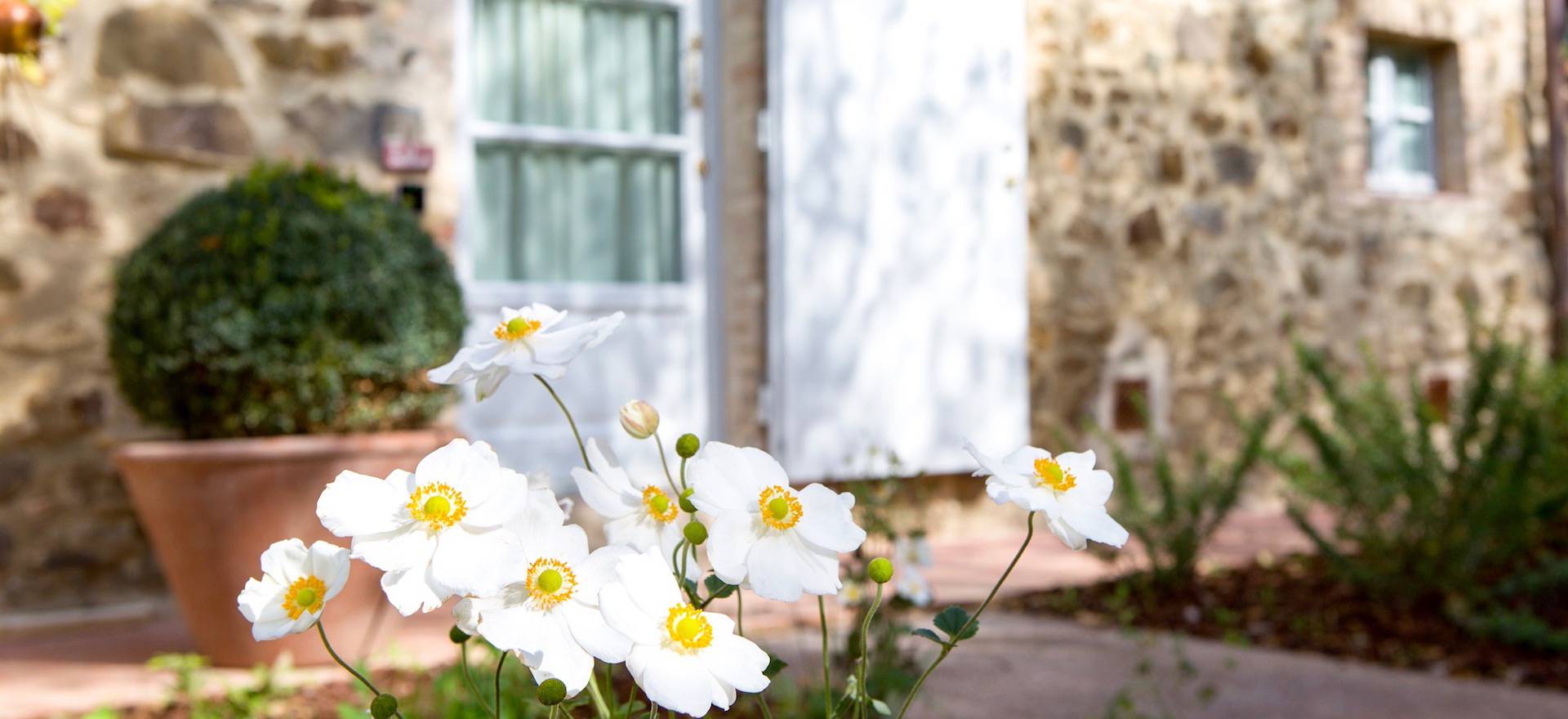 Agriturismo Toscane Elegante agriturismo nabij Montalcino