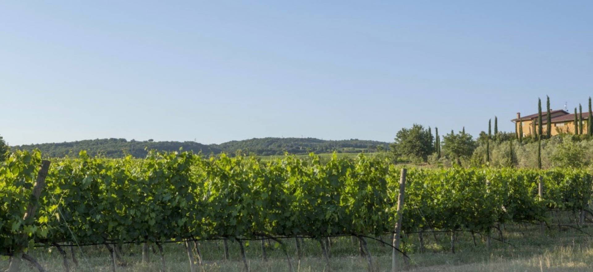 Agriturismo Toscane Elegante agriturismo nabij Montalcino