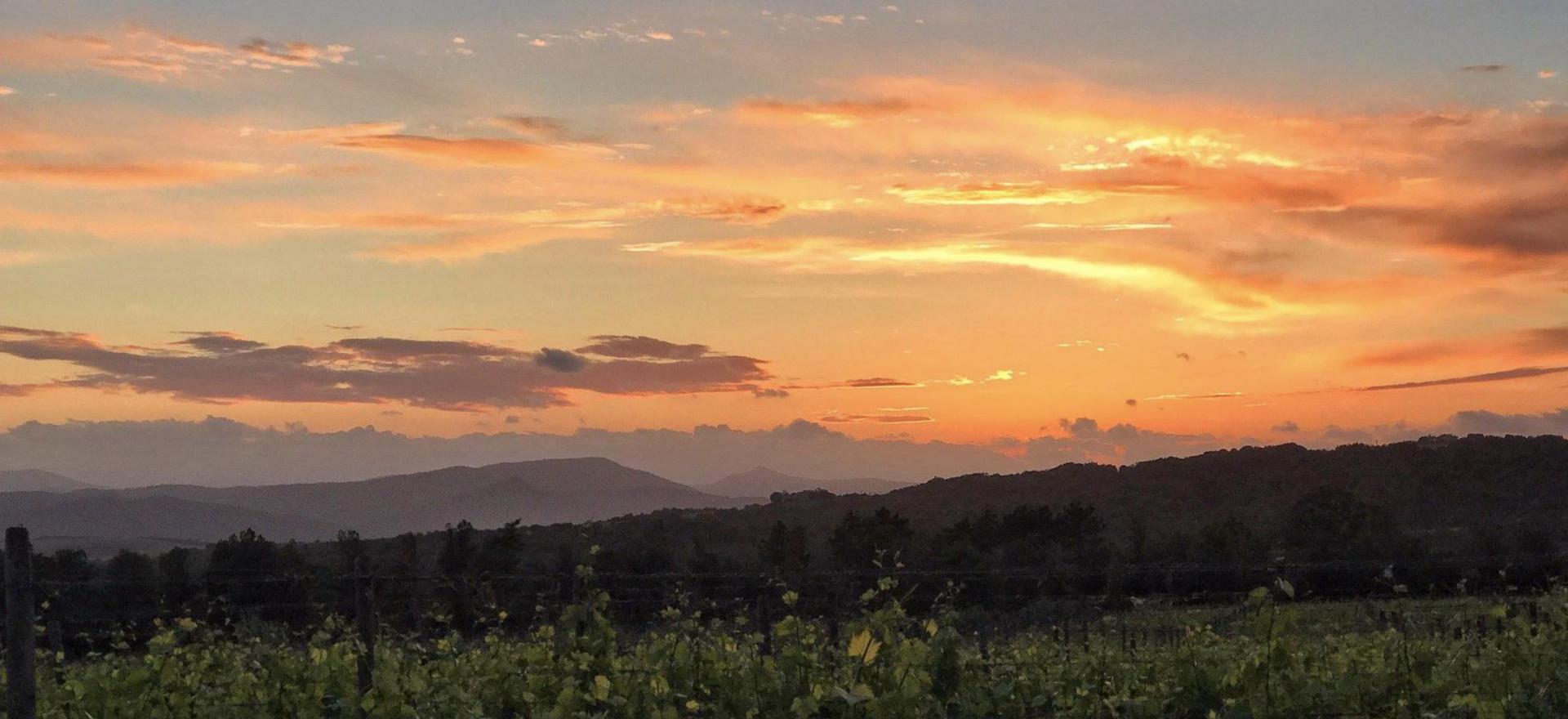 Agriturismo Toscane Elegante agriturismo nabij Montalcino