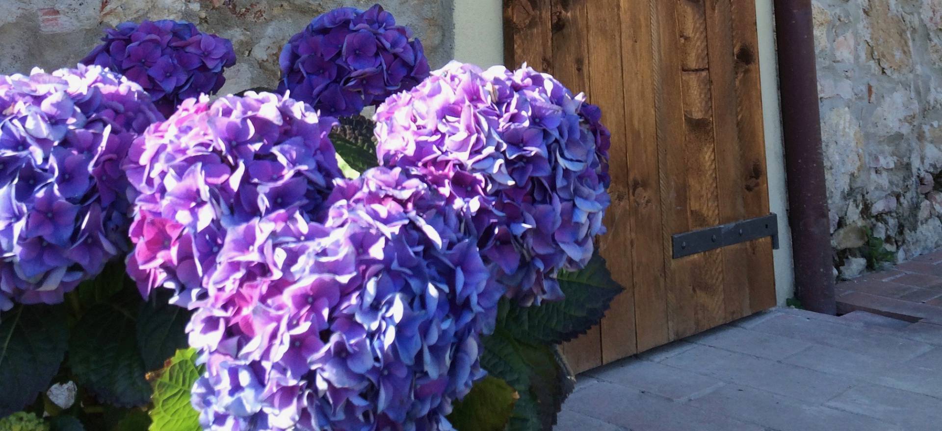 Agriturismo Toscane Erg leuke agriturismo in Toscane met restaurant