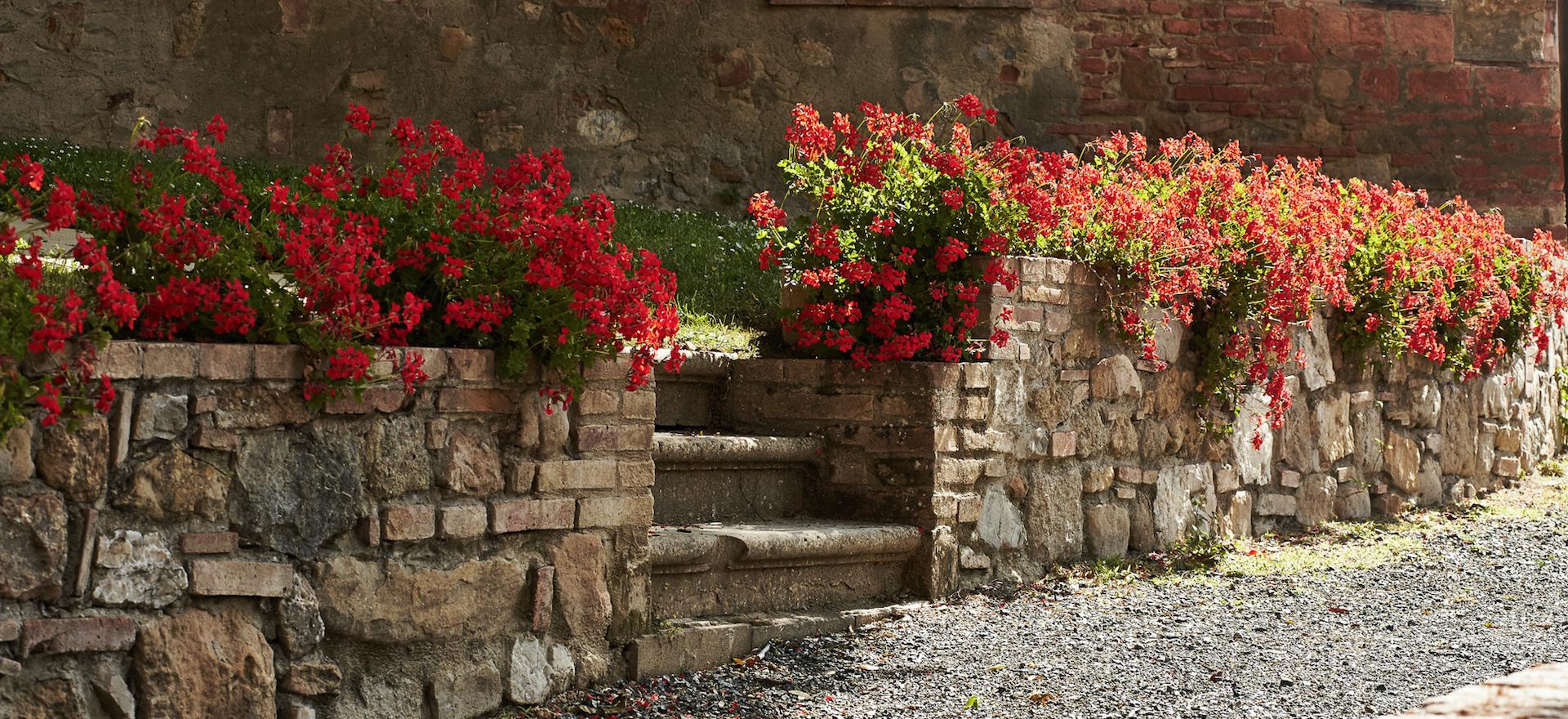 Agriturismo Toscane Familievriendelijke agriturismo is het hart van Toscane