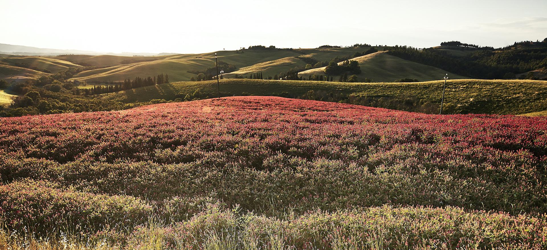 Agriturismo Toscane Familievriendelijke agriturismo is het hart van Toscane