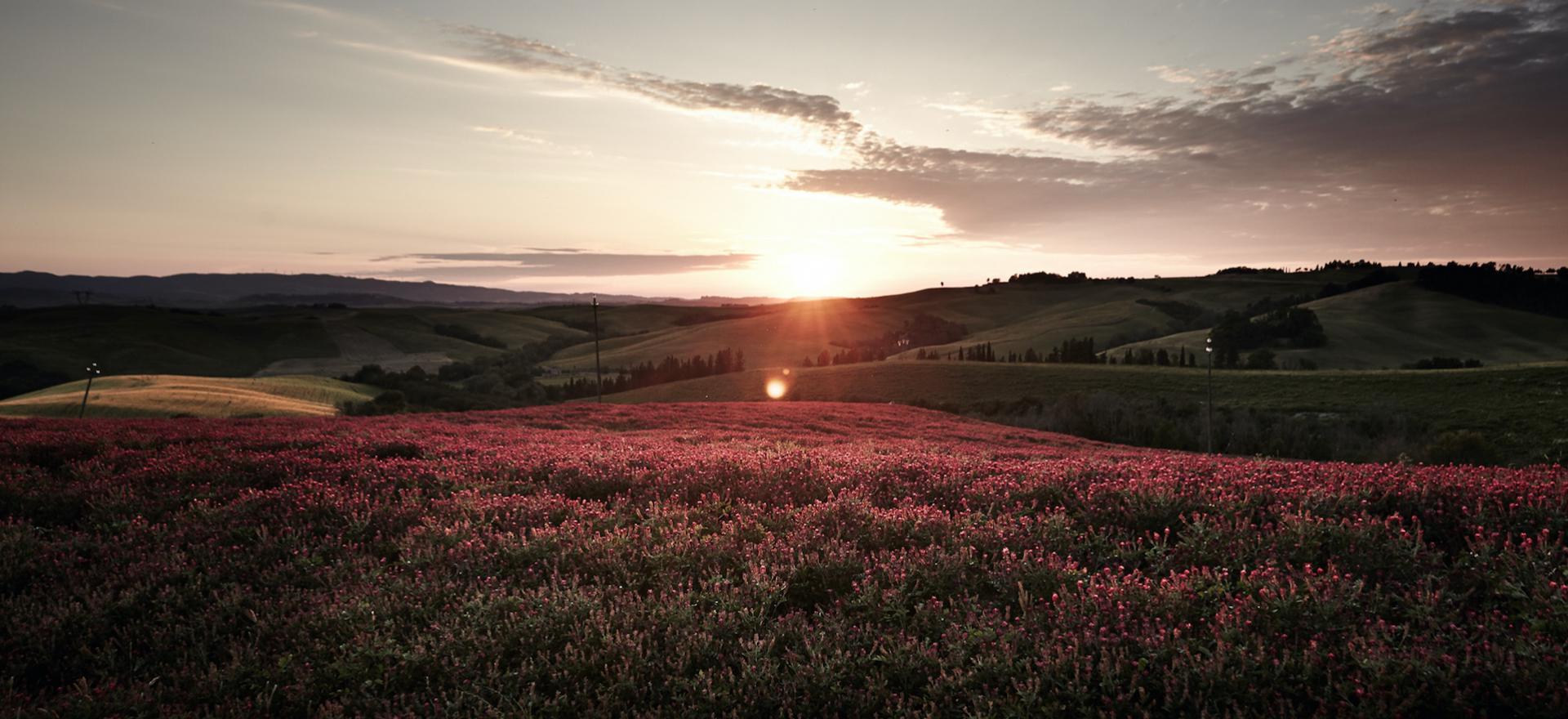 Agriturismo Toscane Familievriendelijke agriturismo is het hart van Toscane