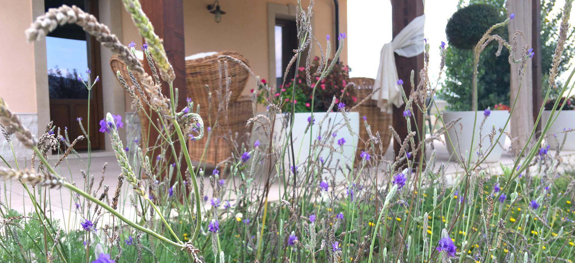 Agriturismo Sicilie Familievriendelijke agriturismo op Sicilië met groot zwembad