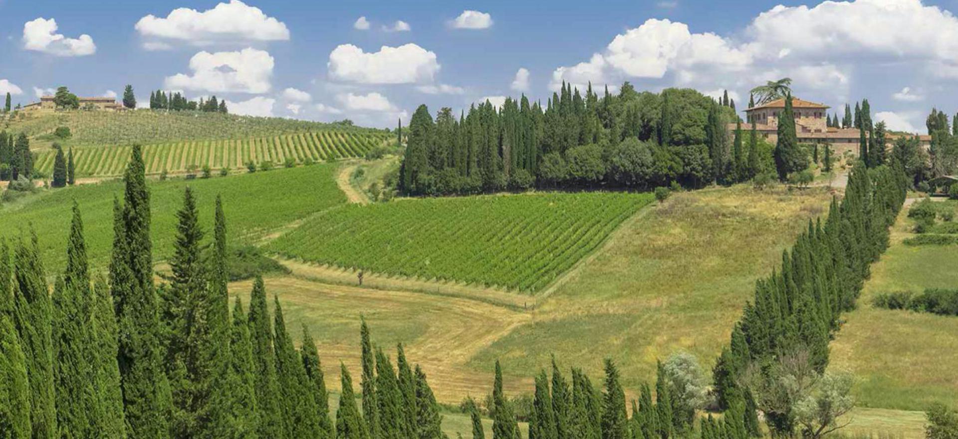 Agriturismo Toscane Prachtige burcht in de heuvels van Siena