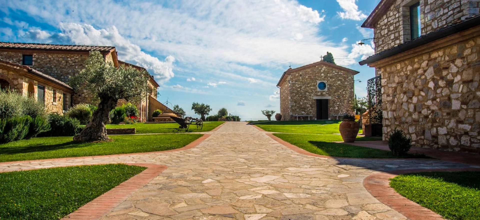 Agriturismo Toscane Mooie olijf agriturismo niet ver van Siena